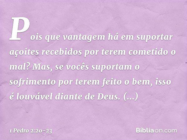 Pois que vantagem há em suportar açoites recebidos por terem cometido o mal? Mas, se vocês suportam o sofrimento por terem feito o bem, isso é louvável diante d