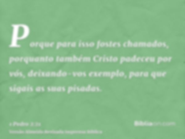 Porque para isso fostes chamados, porquanto também Cristo padeceu por vós, deixando-vos exemplo, para que sigais as suas pisadas.