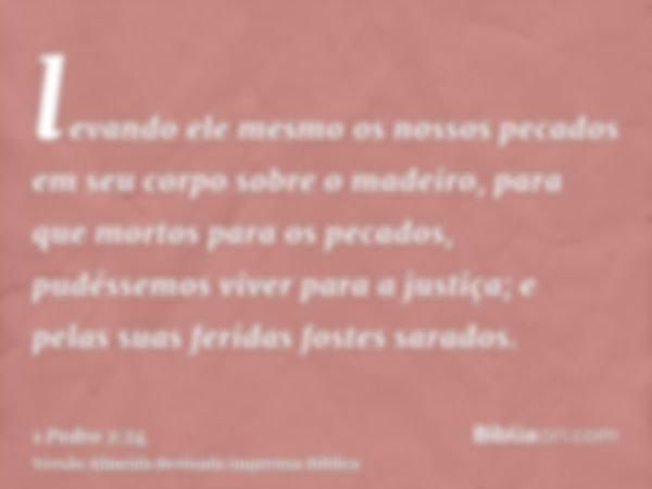 levando ele mesmo os nossos pecados em seu corpo sobre o madeiro, para que mortos para os pecados, pudéssemos viver para a justiça; e pelas suas feridas fostes 