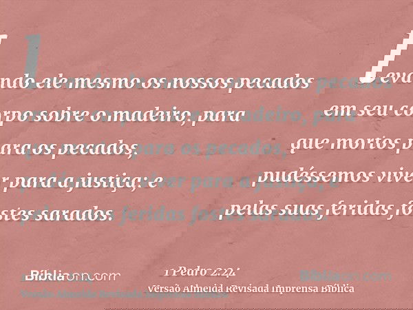 levando ele mesmo os nossos pecados em seu corpo sobre o madeiro, para que mortos para os pecados, pudéssemos viver para a justiça; e pelas suas feridas fostes