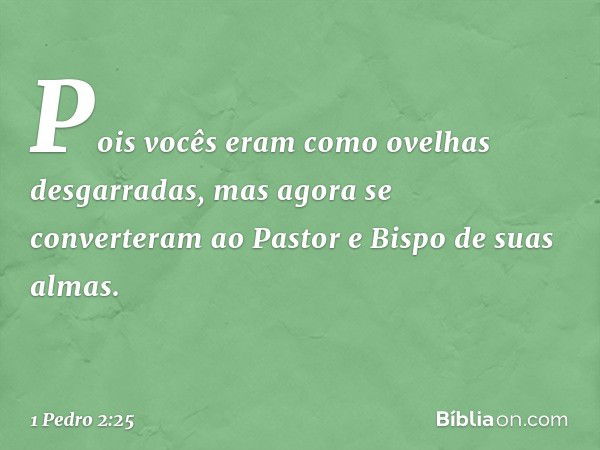 Pois vocês eram como ovelhas desgarradas, mas agora se converteram ao Pastor e Bispo de suas almas. -- 1 Pedro 2:25