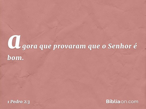 agora que provaram que o Senhor é bom. -- 1 Pedro 2:3