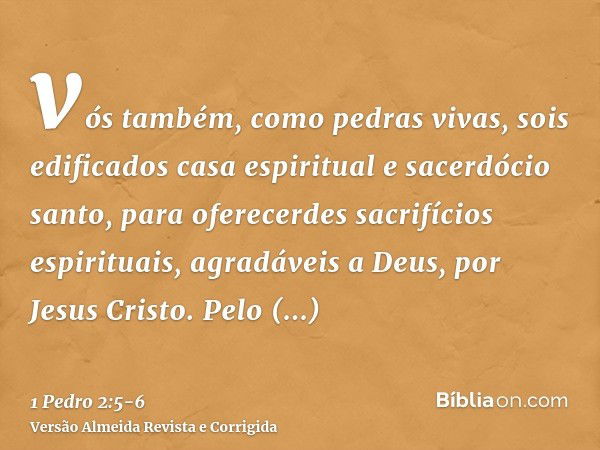 vós também, como pedras vivas, sois edificados casa espiritual e sacerdócio santo, para oferecerdes sacrifícios espirituais, agradáveis a Deus, por Jesus Cristo