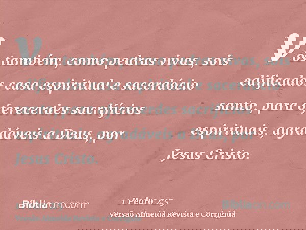 vós também, como pedras vivas, sois edificados casa espiritual e sacerdócio santo, para oferecerdes sacrifícios espirituais, agradáveis a Deus, por Jesus Cristo