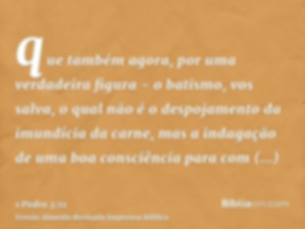 que também agora, por uma verdadeira figura - o batismo, vos salva, o qual não é o despojamento da imundícia da carne, mas a indagação de uma boa consciência pa