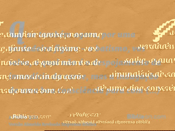 que também agora, por uma verdadeira figura - o batismo, vos salva, o qual não é o despojamento da imundícia da carne, mas a indagação de uma boa consciência pa