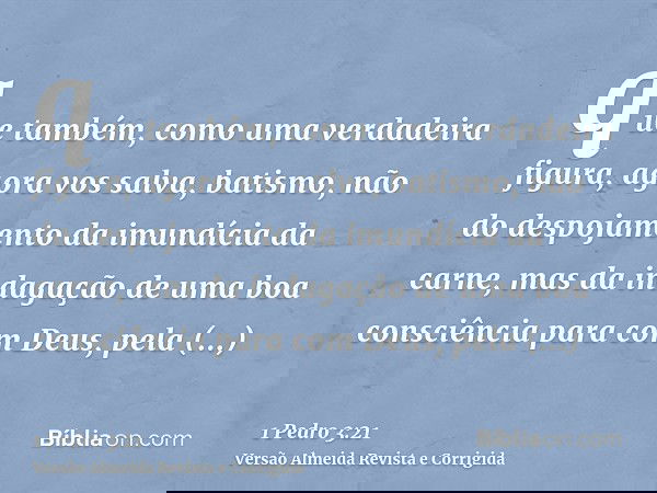 que também, como uma verdadeira figura, agora vos salva, batismo, não do despojamento da imundícia da carne, mas da indagação de uma boa consciência para com De