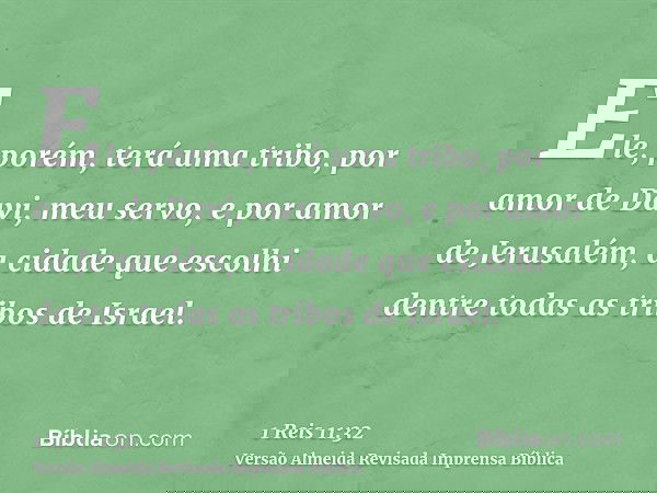 Ele, porém, terá uma tribo, por amor de Davi, meu servo, e por amor de Jerusalém, a cidade que escolhi dentre todas as tribos de Israel.