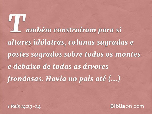 Também construíram para si altares idólatras, colunas sagradas e postes sagrados sobre todos os montes e debaixo de todas as árvores frondosas. Havia no país at