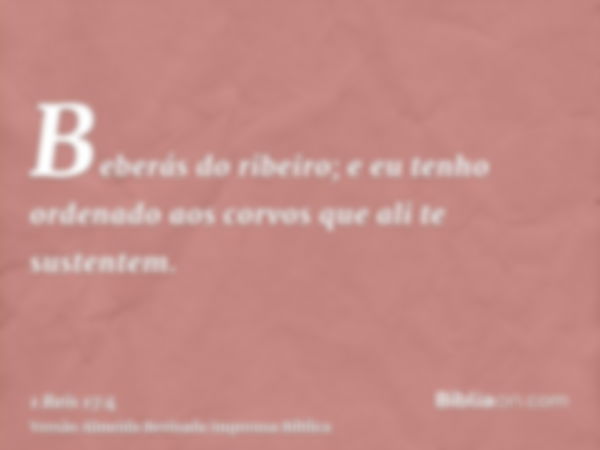 Beberás do ribeiro; e eu tenho ordenado aos corvos que ali te sustentem.