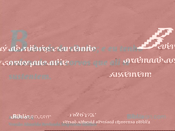 Beberás do ribeiro; e eu tenho ordenado aos corvos que ali te sustentem.