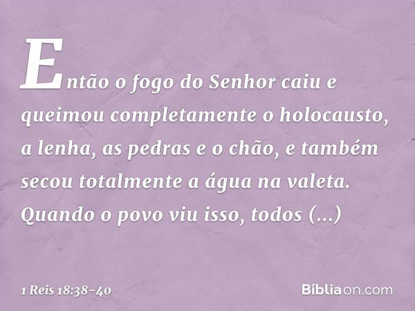 Então o fogo do Senhor caiu e queimou completamente o holocausto, a lenha, as pedras e o chão, e também secou totalmente a água na valeta. Quando o povo viu iss