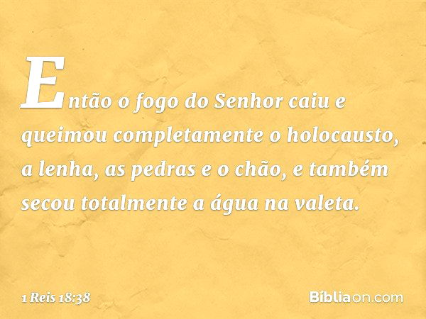 Então o fogo do Senhor caiu e queimou completamente o holocausto, a lenha, as pedras e o chão, e também secou totalmente a água na valeta. -- 1 Reis 18:38