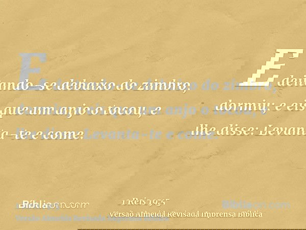 E deitando-se debaixo do zimbro, dormiu; e eis que um anjo o tocou, e lhe disse: Levanta-te e come.