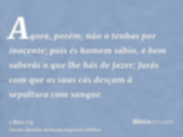 Agora, porém, não o tenhas por inocente; pois és homem sábio, e bem saberás o que lhe hás de fazer; farás com que as suas cãs desçam à sepultura com sangue.