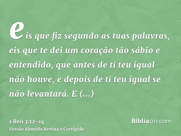 eis que fiz segundo as tuas palavras, eis que te dei um coração tão sábio e entendido, que antes de ti teu igual não houve, e depois de ti teu igual se não leva