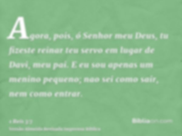 Agora, pois, ó Senhor meu Deus, tu fizeste reinar teu servo em lugar de Davi, meu pai. E eu sou apenas um menino pequeno; nao sei como sair, nem como entrar.