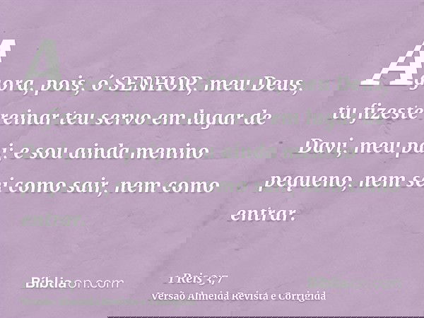 Agora, pois, ó SENHOR, meu Deus, tu fizeste reinar teu servo em lugar de Davi, meu pai; e sou ainda menino pequeno, nem sei como sair, nem como entrar.