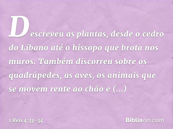 Descreveu as plantas, desde o cedro do Líbano até o hissopo que brota nos muros. Também discorreu sobre os quadrúpedes, as aves, os animais que se movem rente a