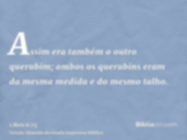 Assim era também o outro querubim; ambos os querubins eram da mesma medida e do mesmo talho.