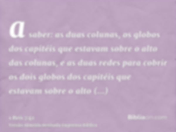 a saber: as duas colunas, os globos dos capitéis que estavam sobre o alto das colunas, e as duas redes para cobrir os dois globos dos capitéis que estavam sobre