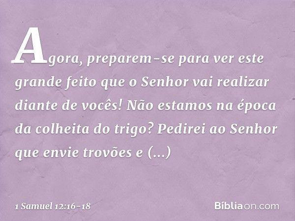 "Agora, preparem-se para ver este grande feito que o Senhor vai realizar diante de vocês! Não estamos na época da colheita do trigo? Pedirei ao Senhor que envie