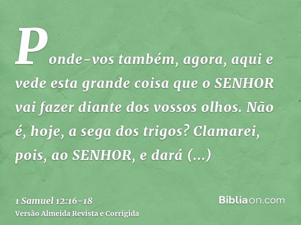 Ponde-vos também, agora, aqui e vede esta grande coisa que o SENHOR vai fazer diante dos vossos olhos.Não é, hoje, a sega dos trigos? Clamarei, pois, ao SENHOR,