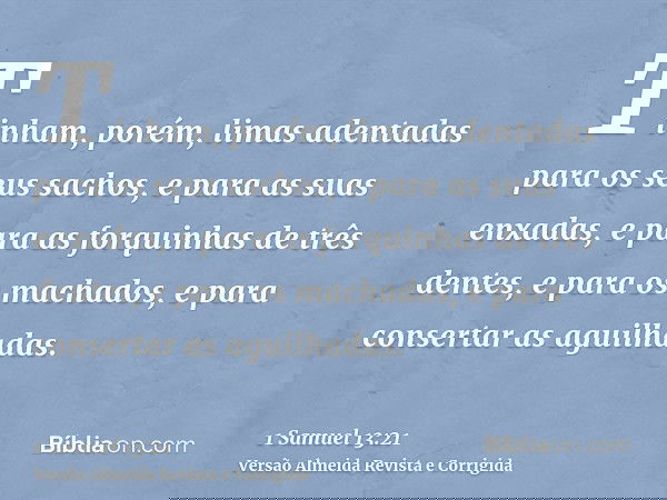 Tinham, porém, limas adentadas para os seus sachos, e para as suas enxadas, e para as forquinhas de três dentes, e para os machados, e para consertar as aguilha
