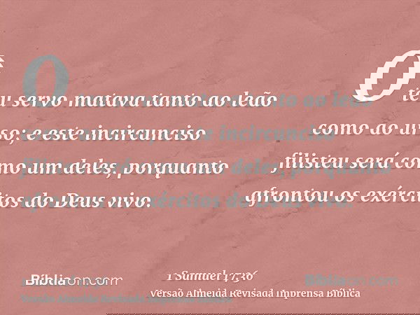 O teu servo matava tanto ao leão como ao urso; e este incircunciso filisteu será como um deles, porquanto afrontou os exércitos do Deus vivo.