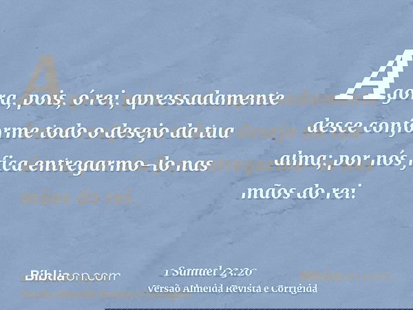 Agora, pois, ó rei, apressadamente desce conforme todo o desejo da tua alma; por nós fica entregarmo-lo nas mãos do rei.