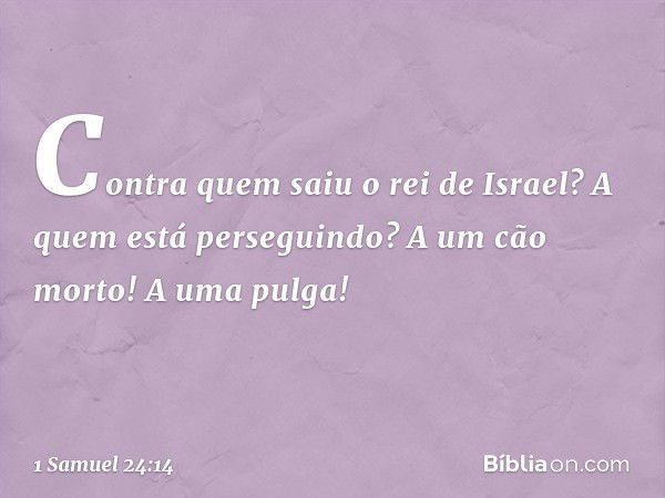 "Contra quem saiu o rei de Israel? A quem está perseguindo? A um cão morto! A uma pulga! -- 1 Samuel 24:14