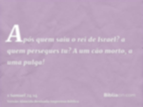 Após quem saiu o rei de Israel? a quem persegues tu? A um cão morto, a uma pulga!