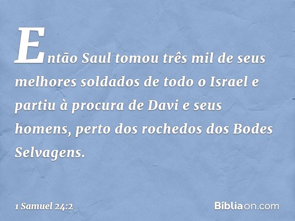 Então Saul tomou três mil de seus melhores soldados de todo o Israel e partiu à procura de Davi e seus homens, perto dos rochedos dos Bodes Selvagens. -- 1 Samu