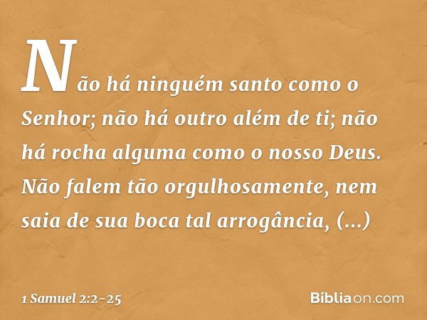 "Não há ninguém santo
como o Senhor;
não há outro além de ti;
não há rocha alguma
como o nosso Deus. "Não falem tão orgulhosamente,
nem saia de sua boca tal arr