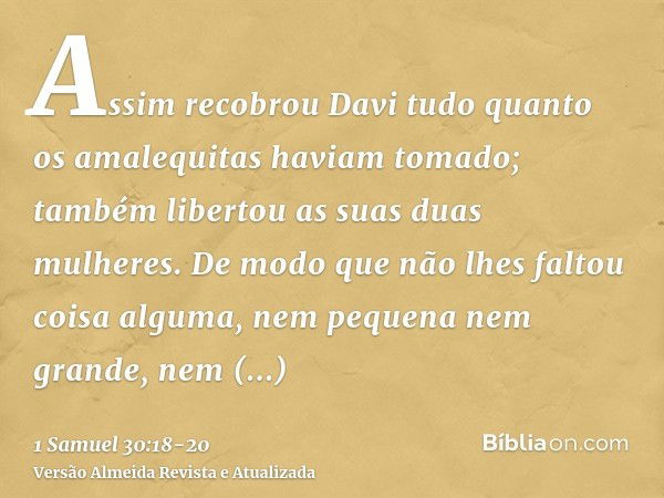 Assim recobrou Davi tudo quanto os amalequitas haviam tomado; também libertou as suas duas mulheres.De modo que não lhes faltou coisa alguma, nem pequena nem gr