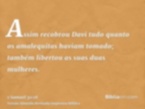 Assim recobrou Davi tudo quanto os amalequitas haviam tomado; também libertou as suas duas mulheres.