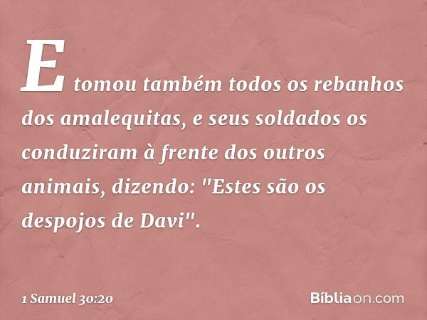 E tomou também todos os rebanhos dos amalequitas, e seus soldados os conduziram à frente dos outros animais, dizendo: "Estes são os despojos de Davi". -- 1 Samu