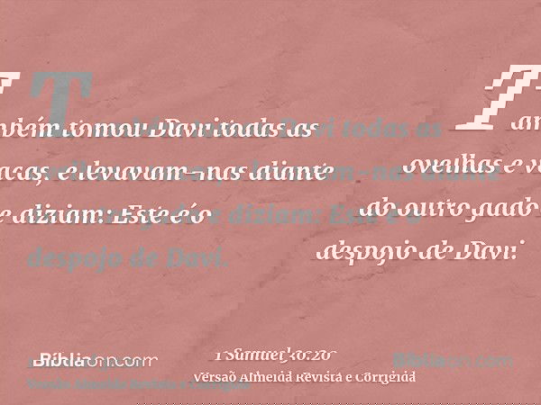 Também tomou Davi todas as ovelhas e vacas, e levavam-nas diante do outro gado e diziam: Este é o despojo de Davi.