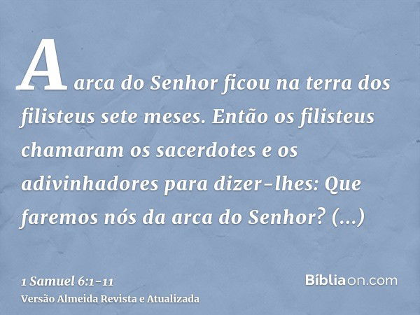 A arca do Senhor ficou na terra dos filisteus sete meses.Então os filisteus chamaram os sacerdotes e os adivinhadores para dizer-lhes: Que faremos nós da arca d