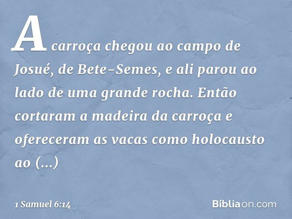 A carroça chegou ao campo de Josué, de Bete-Semes, e ali parou ao lado de uma grande rocha. Então cortaram a madeira da carroça e ofereceram as vacas como holoc