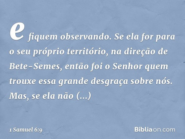 e fiquem observando. Se ela for para o seu próprio território, na direção de Bete-Semes, então foi o Senhor quem trouxe essa grande desgraça sobre nós. Mas, se 