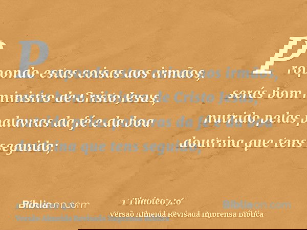 Propondo estas coisas aos irmãos, serás bom ministro de Cristo Jesus, nutrido pelas palavras da fé e da boa doutrina que tens seguido;