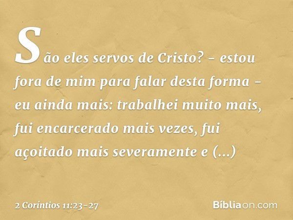 São eles servos de Cristo? - estou fora de mim para falar desta forma - eu ainda mais: trabalhei muito mais, fui encarcerado mais vezes, fui açoitado mais sever