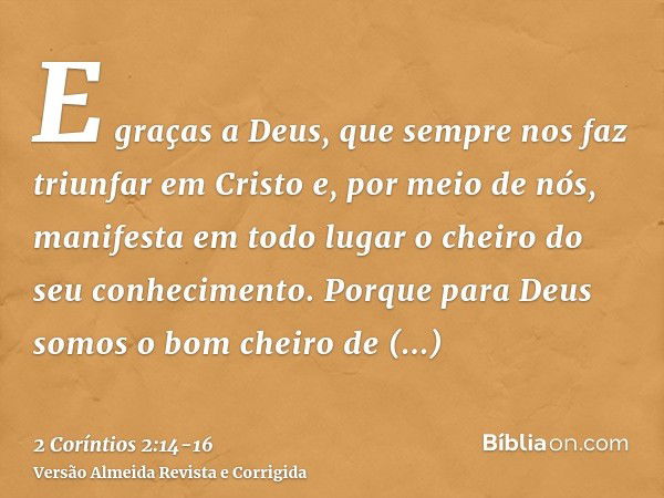 E graças a Deus, que sempre nos faz triunfar em Cristo e, por meio de nós, manifesta em todo lugar o cheiro do seu conhecimento.Porque para Deus somos o bom che