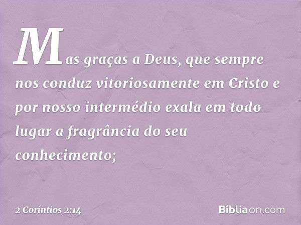 Mas graças a Deus, que sempre nos conduz vitoriosamente em Cristo e por nosso intermédio exala em todo lugar a fragrância do seu conhecimento; -- 2 Coríntios 2: