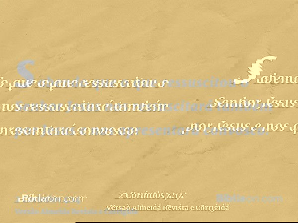 sabendo que o que ressuscitou o Senhor Jesus nos ressuscitará também por Jesus e nos apresentará convosco.