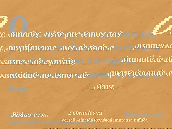 Ora, amados, visto que temos tais promessas, purifiquemo-nos de toda a imundícia da carne e do espírito, aperfeiçoando a santidade no temor de Deus.