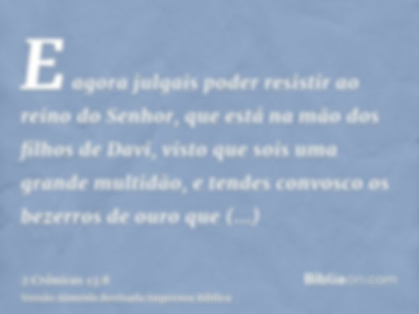 E agora julgais poder resistir ao reino do Senhor, que está na mão dos filhos de Davi, visto que sois uma grande multidão, e tendes convosco os bezerros de ouro