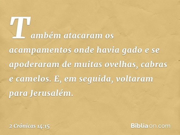 Tam­bém atacaram os acampamentos onde havia gado e se apoderaram de muitas ovelhas, cabras e camelos. E, em seguida, voltaram para Jerusalém. -- 2 Crônicas 14:1