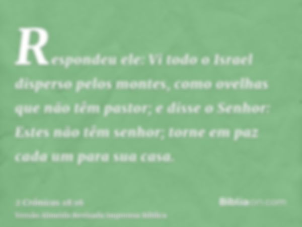 Respondeu ele: Vi todo o Israel disperso pelos montes, como ovelhas que não têm pastor; e disse o Senhor: Estes não têm senhor; torne em paz cada um para sua ca